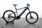 Haibike SDURO HardSeven 2.5