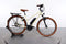 Riese & Müller Cruiser Mixte Vario