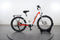 Ebike Das Original Trekking Pro