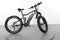 Haibike SDuro Fullfatsix