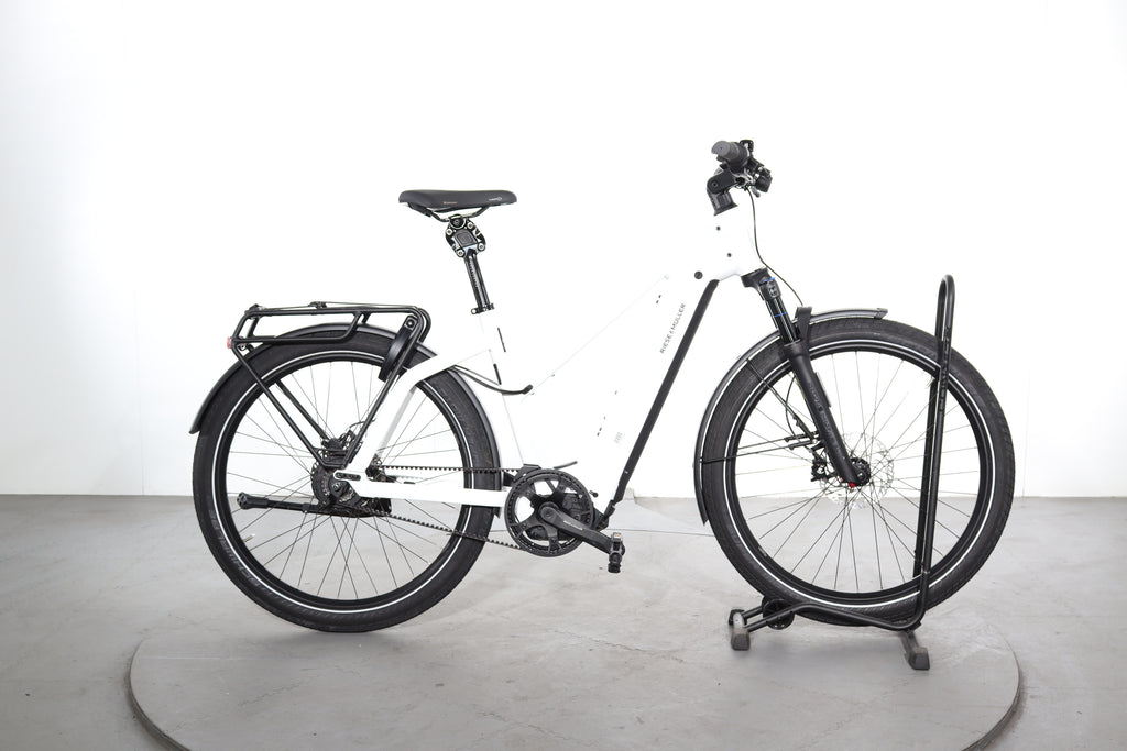 Riese & Müller Multitinker vario #1 global